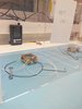 IMG_20160107_124530