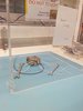 IMG_20160107_124543