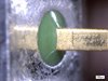 Pin 10