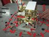 20130625_EPT-HET_STM_vib (132)