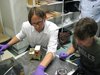 20130625_EPT-HET_STM_vib (58)