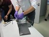 20130625_EPT-HET_STM_vib (46)